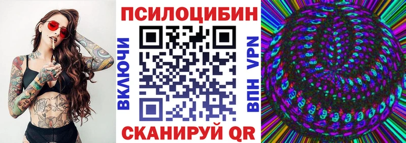 Купить закладки  Шилка  Псилоцибиновые грибы прущие грибы 