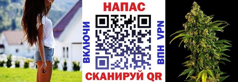 Купить где Шилка Марихуана индика